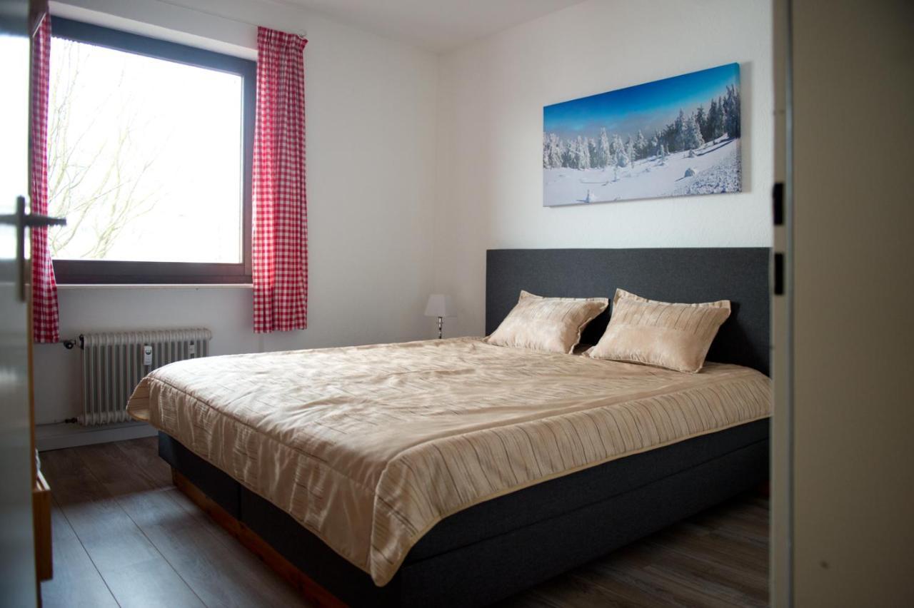 Alpina Apartments In Winterberg Esterno foto
